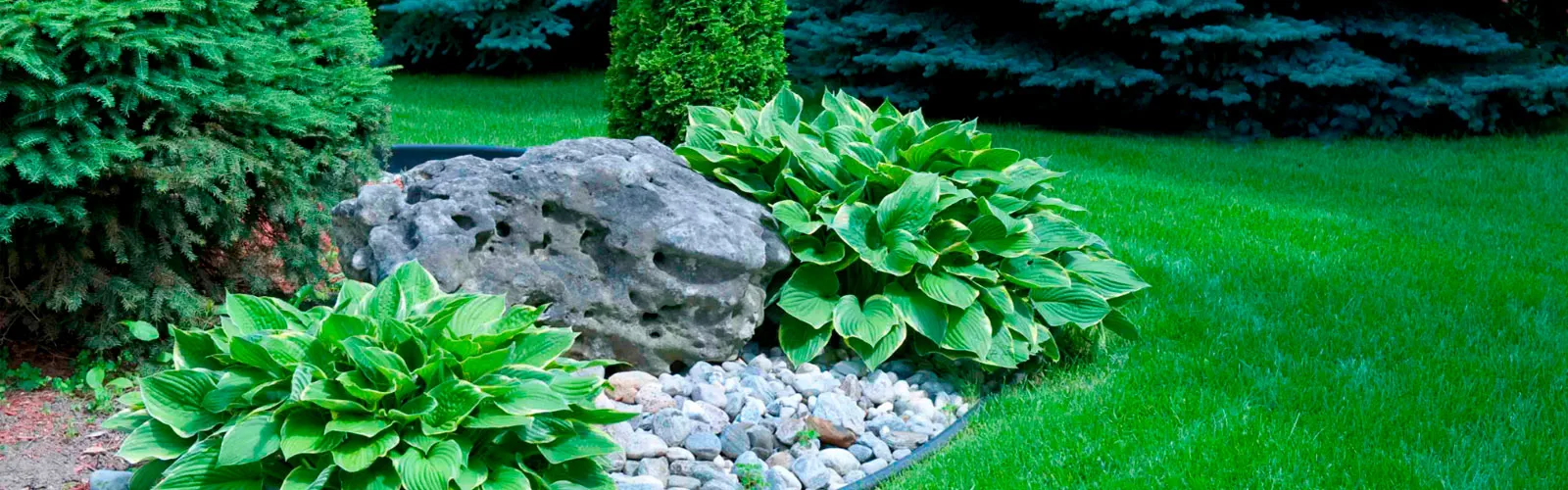Your Trusted Landscaping Specialists